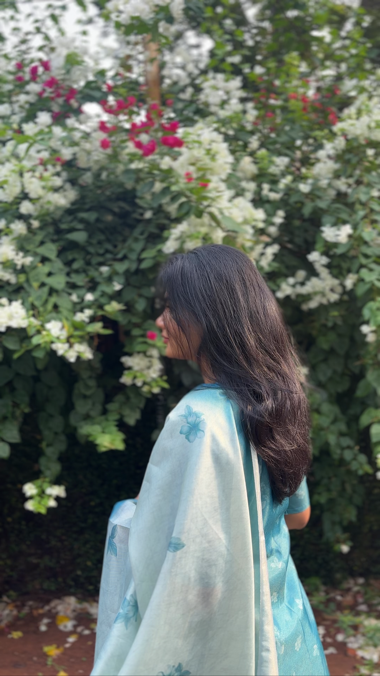 Blue bloom